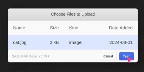 File Uploads with Custom Files